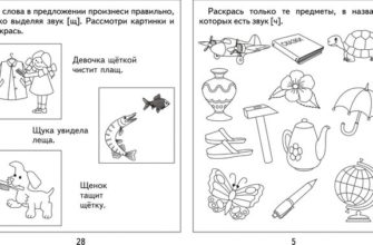 domashnyaya-tetrad-dlya-logopedicheskih-zanyatij-s-detmi-zvuki-ch-shh-skachat-moya-lyalya-3