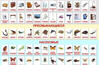 metodika-domana-genialnaya-ili-opasnaya-moya-lyalya-4